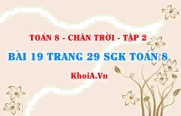 Bài 19 trang 29 Toán 8 Chân trời sáng tạo Tập 2